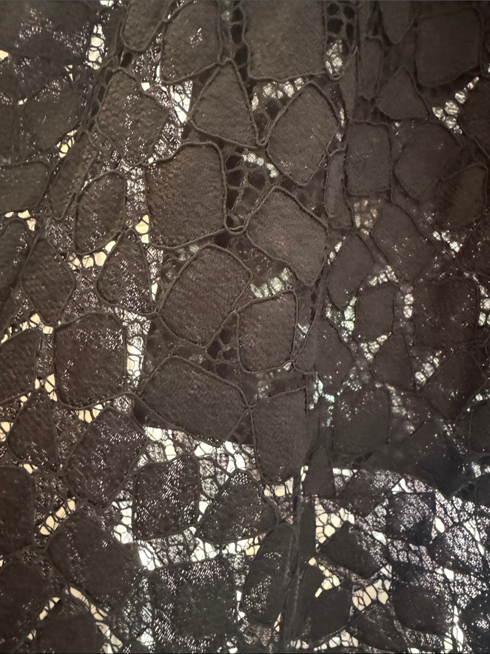 Banana Republic- Black Lace A-Line Skirt 16 - Picture 2 of 3